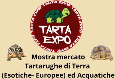 tarta-expo