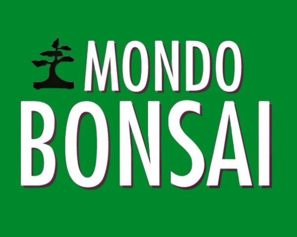 mondo-bonsai