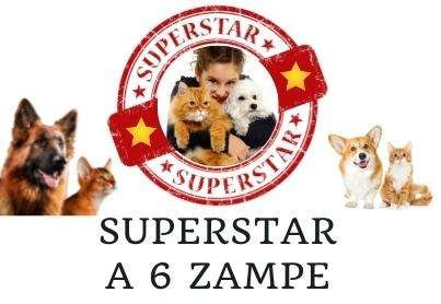 superstara6zampe