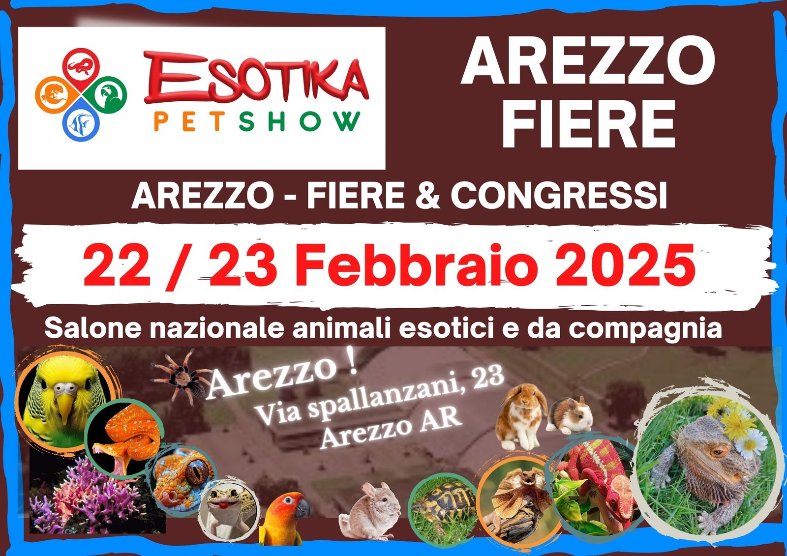 Arezzo 22/23 febbraio 2025