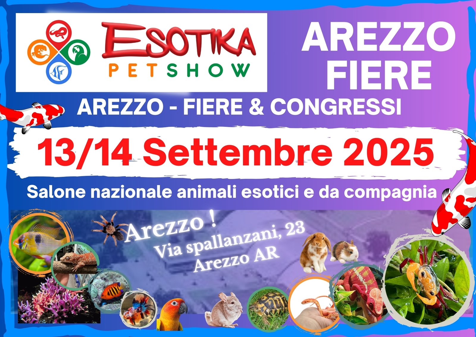 Arezzo 13/14 Settembre 2025