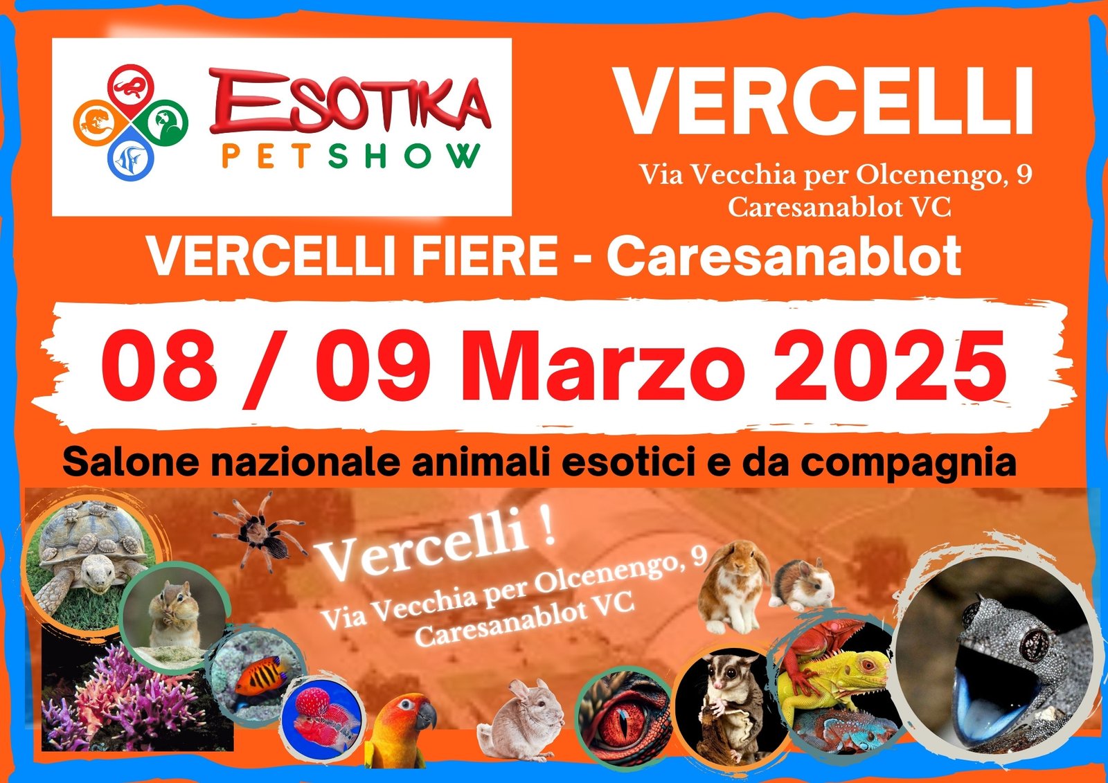 Home - Esotika Pet Show