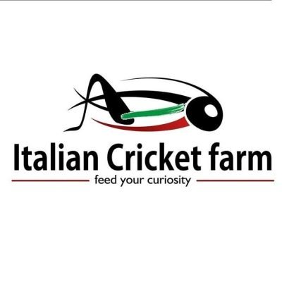 italian cricket farm