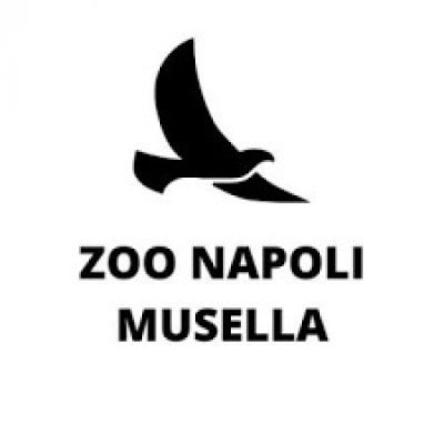 zoo-napoli